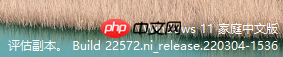 电脑win11使用vnc连接手机ubuntu