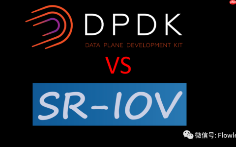 NFV中：DPDK与SR-IOV应用场景及性能对比