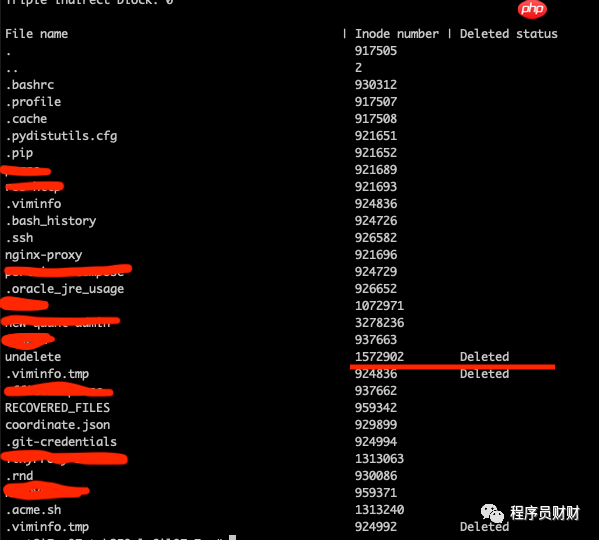 rm -rf 误删文件？别急，或许有救！