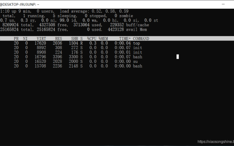 『开发技术』Ubuntu与Windows如何查看CPU&GPU&内存占用量