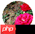 【程序源代码】docker精选操作