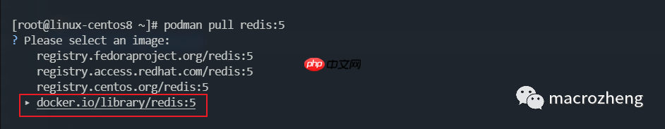 Podman 已成 Linux 官方标配！Docker 没戏了？