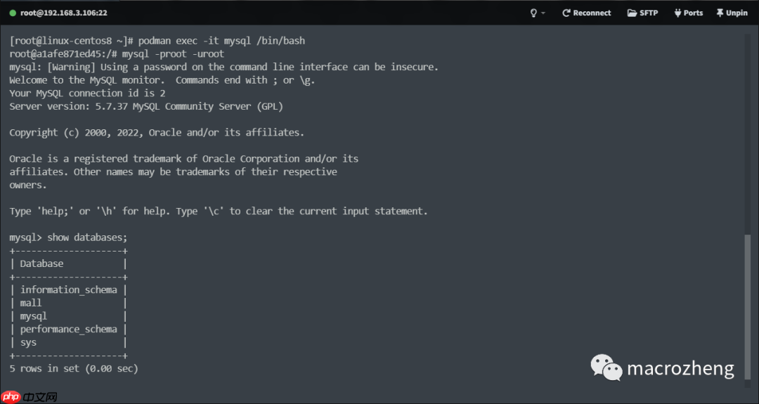 Podman 已成 Linux 官方标配！Docker 没戏了？