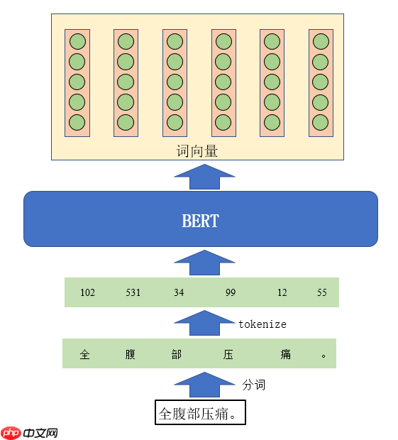 中文电子病历命名实体识别