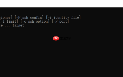 Jenkins Windows Server系统的文件上传到Linux服务