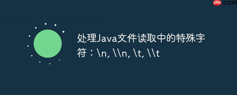 处理java文件读取中的特殊字符:, n, , t