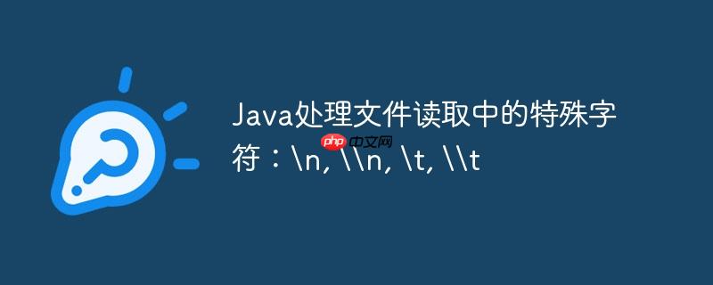 java处理文件读取中的特殊字符:, n, , t