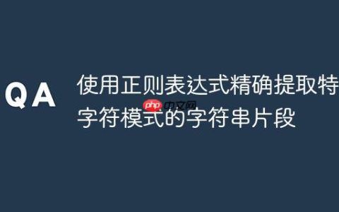 使用正则表达式精确提取特定字符模式的字符串片段