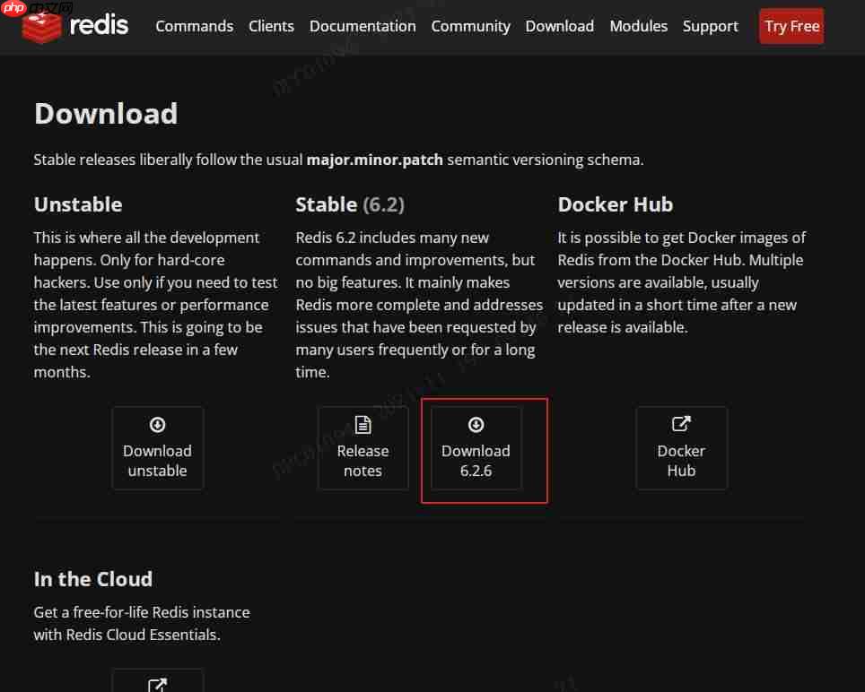 Linux安装Redis(图文解说详细版)「建议收藏」