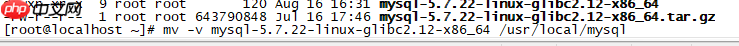 linux 安装 mysql简单教程