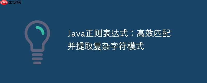 java正则表达式:高效匹配并提取复杂字符模式