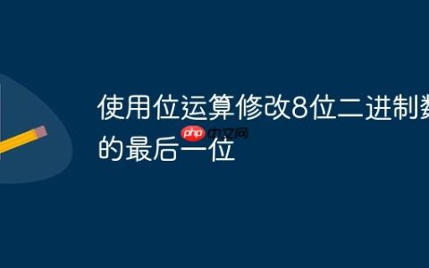 使用位运算修改8位二进制数的最后一位