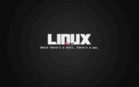 免费获取Linux，无需购买服务器既可使用Linux系统的开源工具
