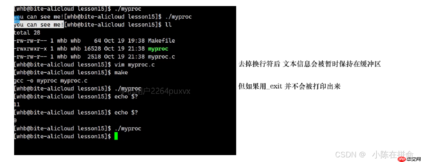 Linux:进程的创建、终止和等待