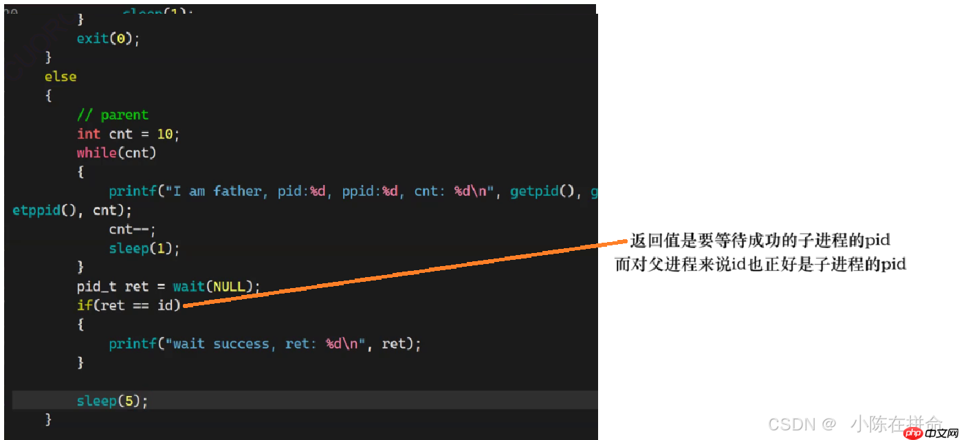 Linux:进程的创建、终止和等待