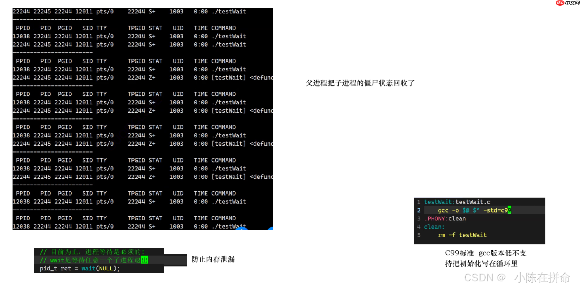 Linux：进程的创建、终止和等待