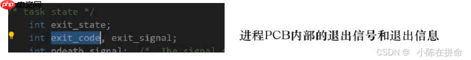 Linux:进程的创建、终止和等待