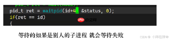 Linux：进程的创建、终止和等待