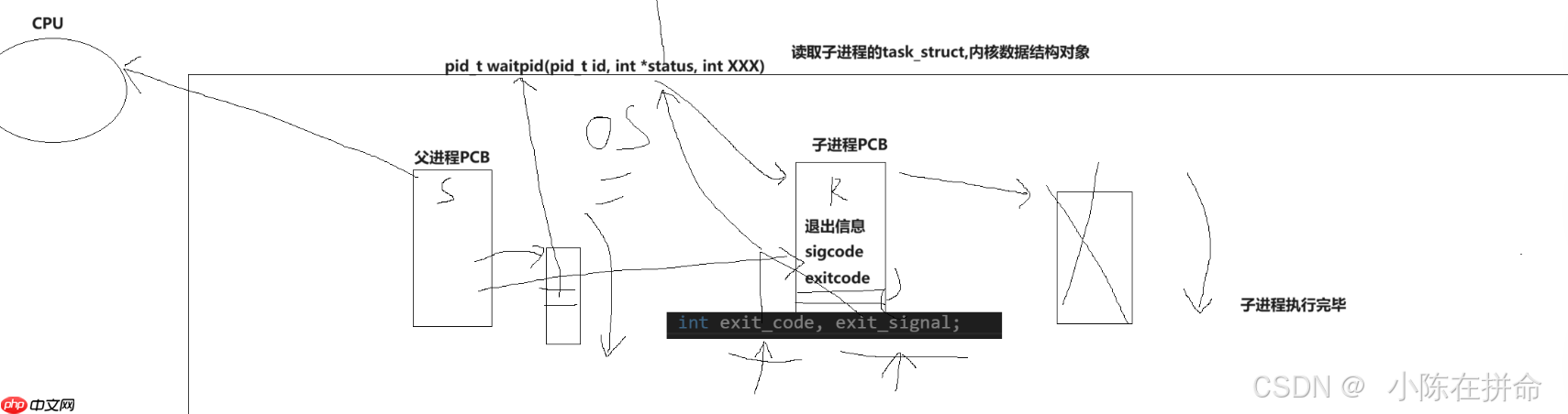 Linux:进程的创建、终止和等待