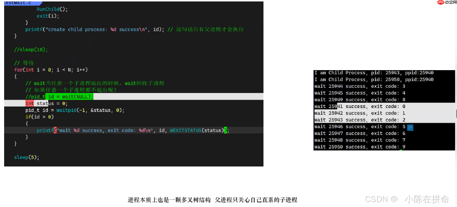 Linux：进程的创建、终止和等待