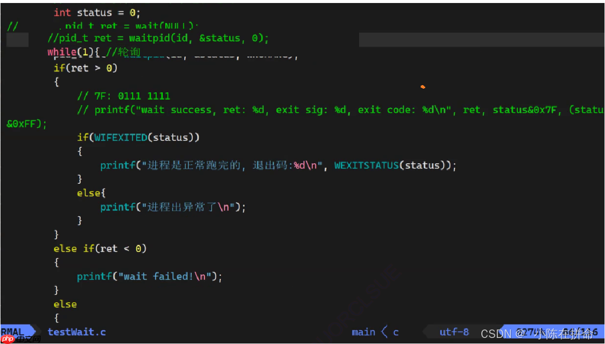 Linux：进程的创建、终止和等待