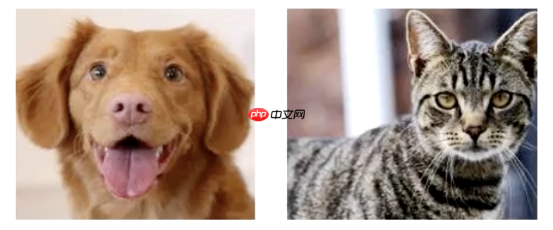 半监督学习