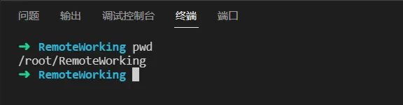 【玩转 Cloud Studio】以 Rust 为例定制自己的开发环境