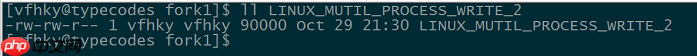 Linux C/C++多进程同时写一个文件（三）