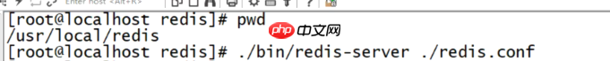 Redis远程连接Redis客户端