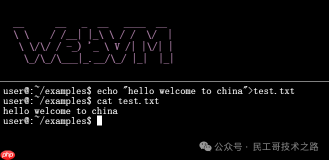 浏览器上的虚拟机!可以直接线上使用各种编程语言,以及 Linux 命令