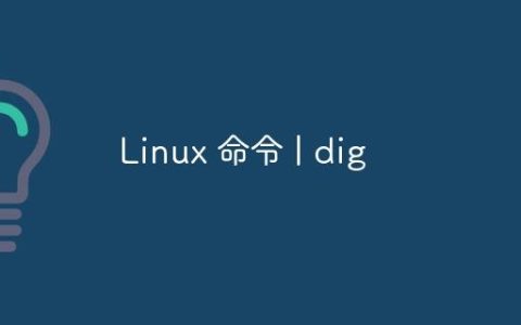 Linux 命令 | dig