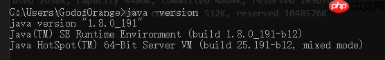 深入理解JVM内存分配策略