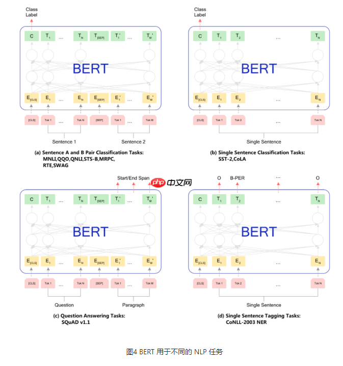 基于BERT实现机器阅读理解