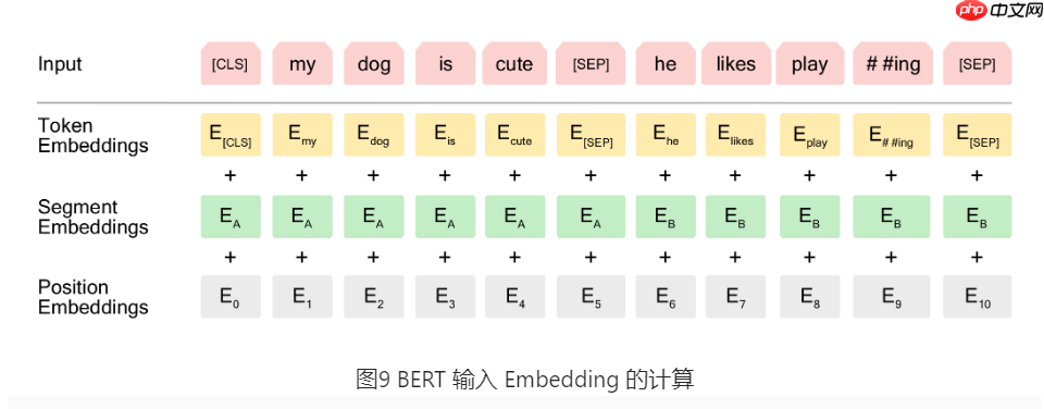 基于BERT实现机器阅读理解 - 创想鸟