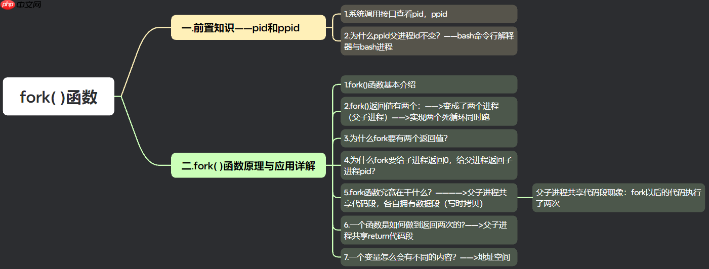 【Linux系列】fork( )函数原理与应用详解——了解【父子进程及其特性】(代码演示,画图帮助理解,思维导图,精简)(11)