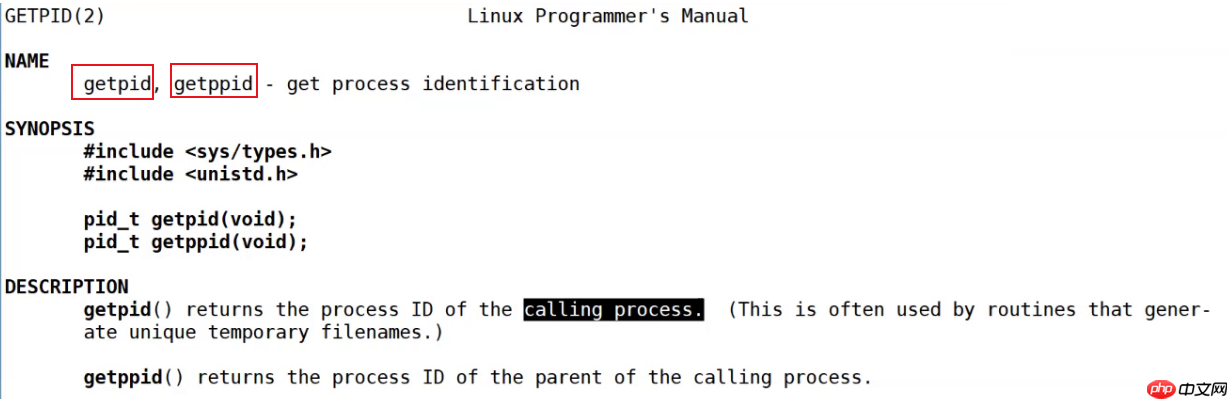 【Linux系列】fork( )函数原理与应用详解——了解【父子进程及其特性】(代码演示,画图帮助理解,思维导图,精简)(11)