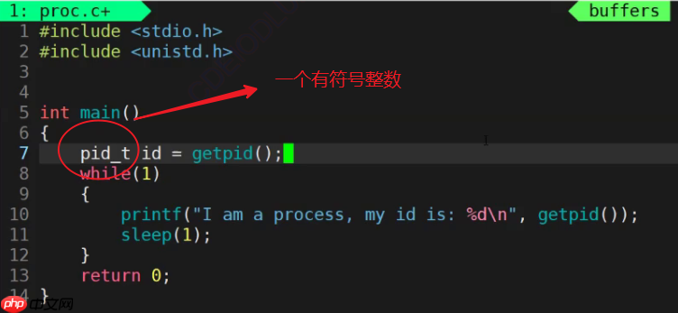 【Linux系列】fork( )函数原理与应用详解——了解【父子进程及其特性】(代码演示,画图帮助理解,思维导图,精简)(11)