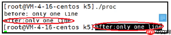 【Linux系列】fork( )函数原理与应用详解——了解【父子进程及其特性】(代码演示，画图帮助理解，思维导图，精简)（11）