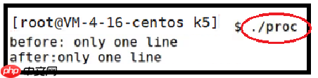 【Linux系列】fork( )函数原理与应用详解——了解【父子进程及其特性】(代码演示，画图帮助理解，思维导图，精简)（11）