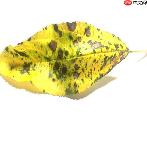 [AI特训营第三期]全流程前沿超轻量PPLCNetV2苹果病害识别