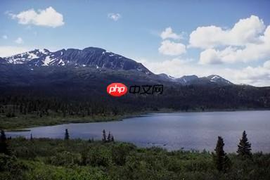 用PaddleClas完成不平衡数据集多标签分类