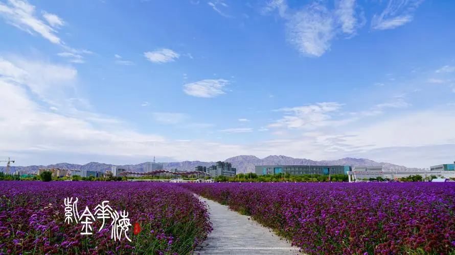 【飞桨黑客松-AIGC – DreamBooth LoRA】HomeTown