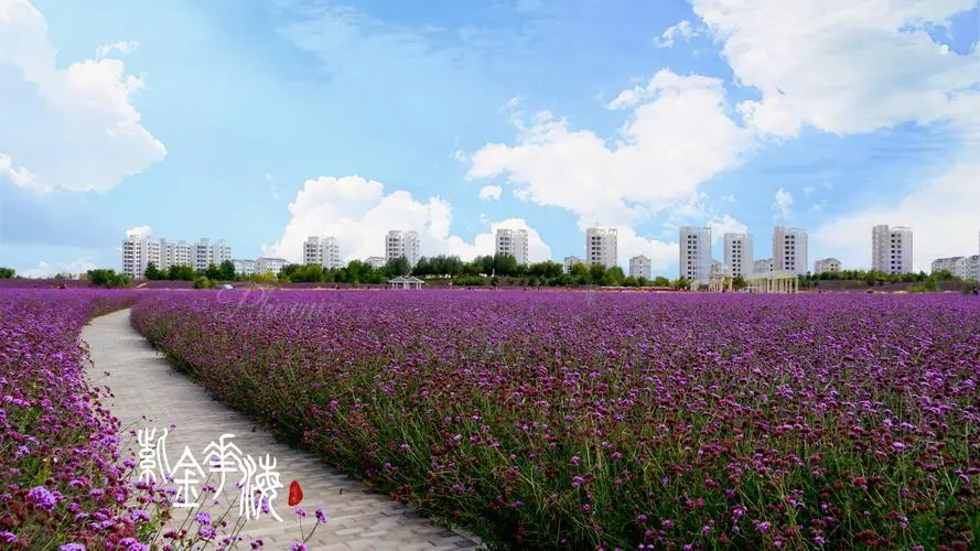 【飞桨黑客松-AIGC - DreamBooth LoRA】HomeTown - 创想鸟