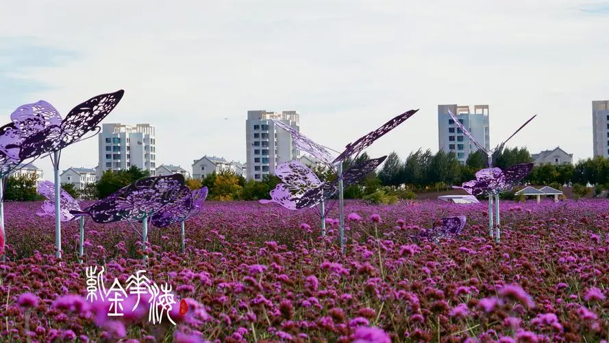 【飞桨黑客松-AIGC – DreamBooth LoRA】HomeTown