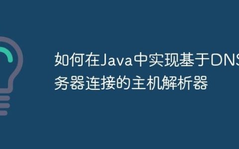 如何在Java中实现基于DNS服务器连接的主机解析器