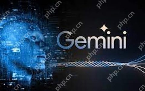 Gemini支持哪些输入方式 Gemini AI语音图像输入功能使用说明