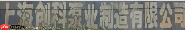 飞桨常规赛:中文场景文字识别- 12月第8名方案
