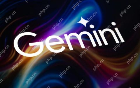 Gemini文件上传失败怎么办 Gemini上传文档格式有限制吗