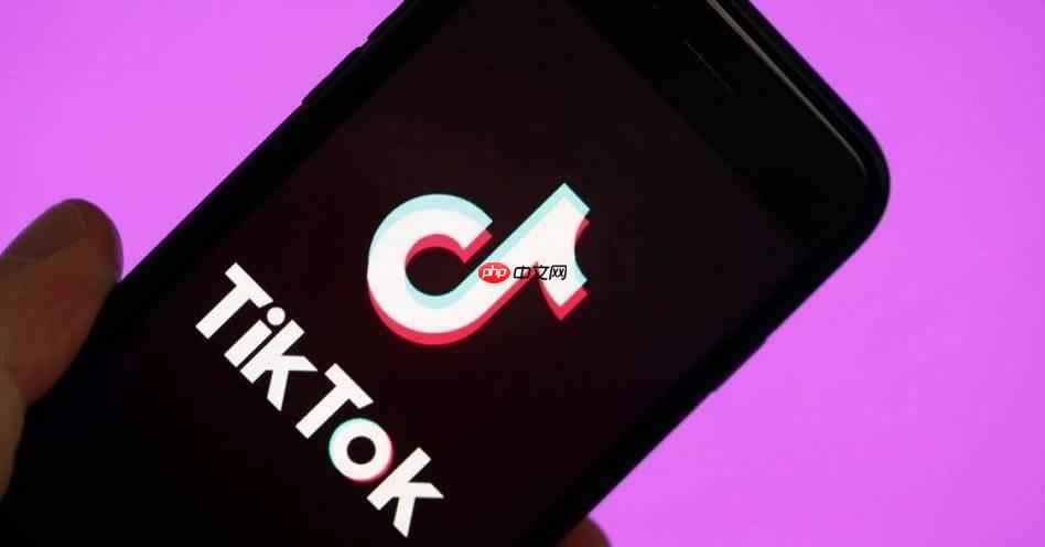 TikTok广告开户0门槛详解!资料准备+审核常见问题,快速下号秘籍