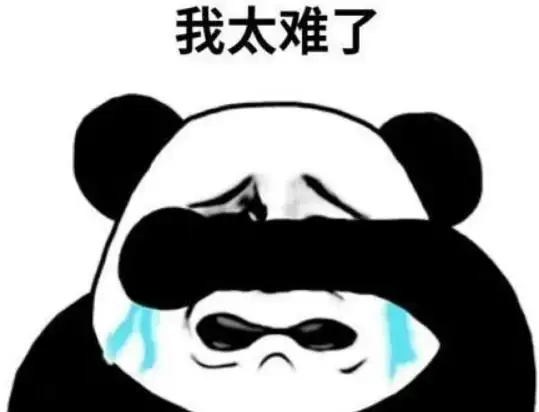 【Paddle打比赛】百度网盘AI大赛-图像处理挑战赛文档检测优化赛ONNX方案 - 创想鸟
